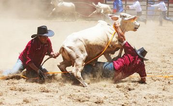 Rodeo in Masbate